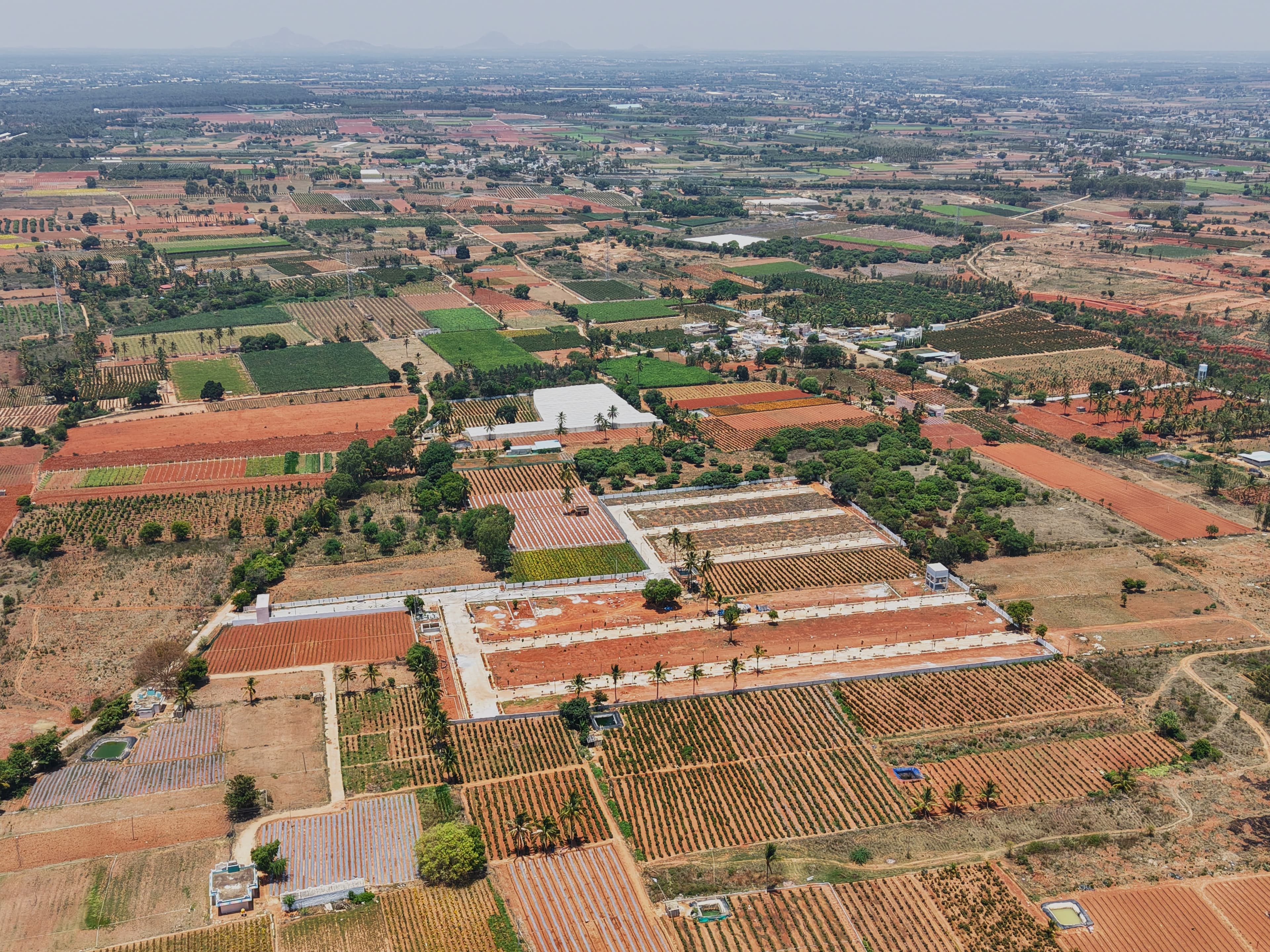 Aerial view of plotted land development with grid layout and surrounding farmland